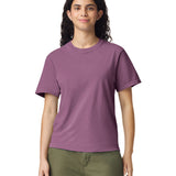 Comfort Colors Adult Heavyweight T-Shirt