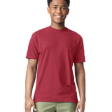 Comfort Colors Adult Heavyweight T-Shirt