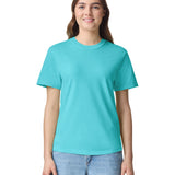 Comfort Colors Adult Heavyweight T-Shirt