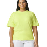 Comfort Colors Adult Heavyweight T-Shirt