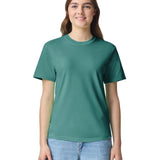 Comfort Colors Adult Heavyweight T-Shirt
