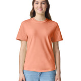 Comfort Colors Adult Heavyweight T-Shirt