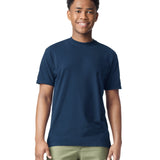 Comfort Colors Adult Heavyweight T-Shirt